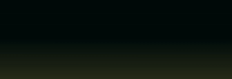 GIF_ANIVERSARIO_21_LUPE_1024_x_350_px